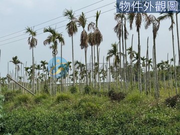 屏東里港 平價好入手 精緻便宜農地 5分多｜屏東縣里港鄉茄苳腳段