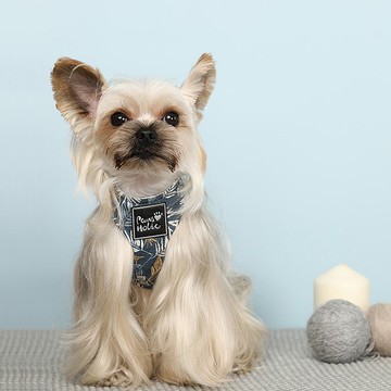 棉質親膚/環繞設計/自在舒適 | 狗胸背-藍色樹葉 Pawsholic爪迷