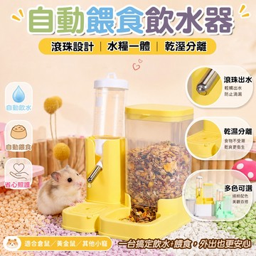 小寵自動餵食飲水器 倉鼠 黃金鼠 小寵適用 乾濕分離 滾珠飲水 多色可選 餵食器 水壺一體 飲水餵食器 水糧一體