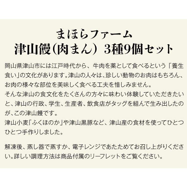 肉まん 冷凍 取り寄せ 津山饅3種9個 黒豚 干し肉 和牛すじ肉 岡山県産 津山 まほらファーム ギフト 産直 冷凍便 同梱不可 指定日不可