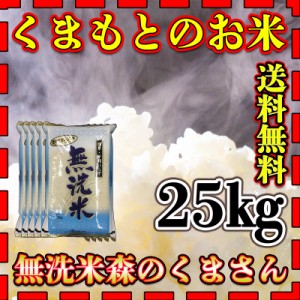 お米 米 25kg 白米 送料無料 無洗米 熊本県産 森のくまさん あす着 新米 令和5年産 5kg5個 くまもとのお米 富田商店 とみた商店