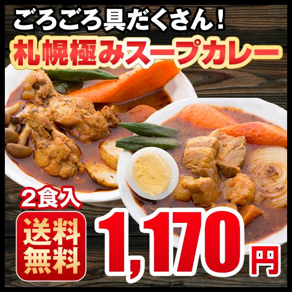 札幌スープカレー 選べる 2食セット 送料無料 チキン 豚角煮 スープカレー 2種類  北海道 スパイス レトルト