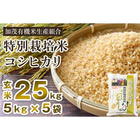 ふるさと納税 新潟県加茂市産 特別栽培米コシヒカリ 玄米25kg（5kg×5）従来品種コシヒカリ 加茂有機米生産組合 コシヒカ.. 新潟県加茂市