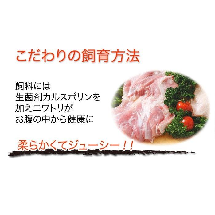 鶏肉 日南どり もも肉 2kg 1パックでの発送 宮崎県産 鳥肉