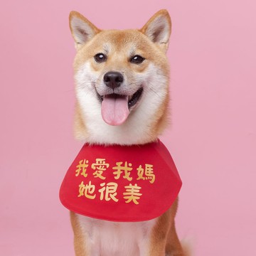 寵物國民領巾系列 | 我愛我媽她很美 |