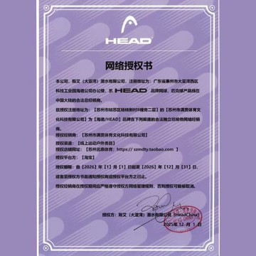 海德 Head Sprint Velcro/Strap 4.0 Kids 兒童網球鞋 減震透氣