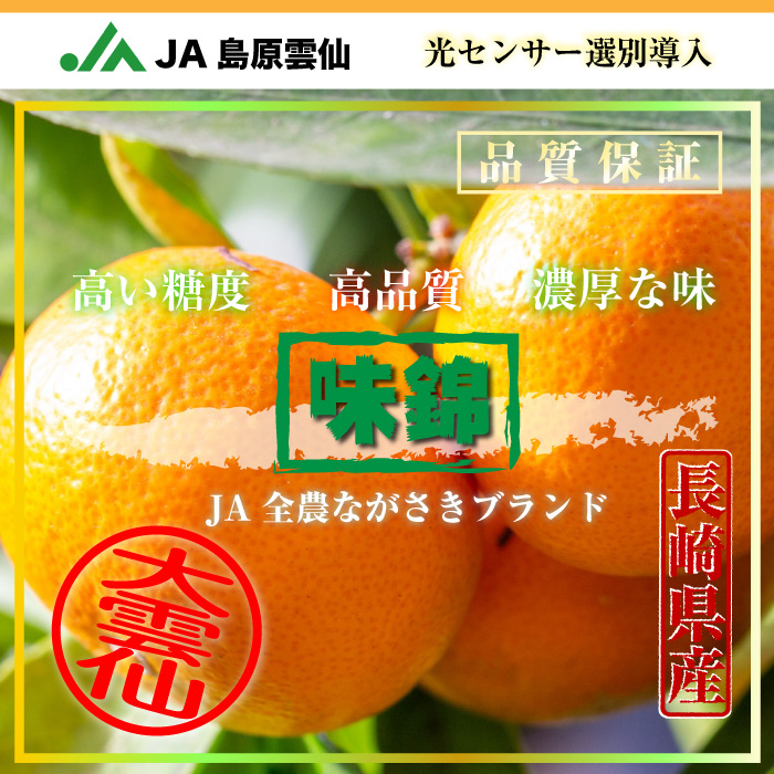 [予約 2023年11月1日-11月30日の納品] 味錦 10kg Sサイズ みかん 高糖度 長崎県産 JA島原雲仙 JA全農ながさき 産地箱 高品位 冬ギフト お歳暮 御歳暮