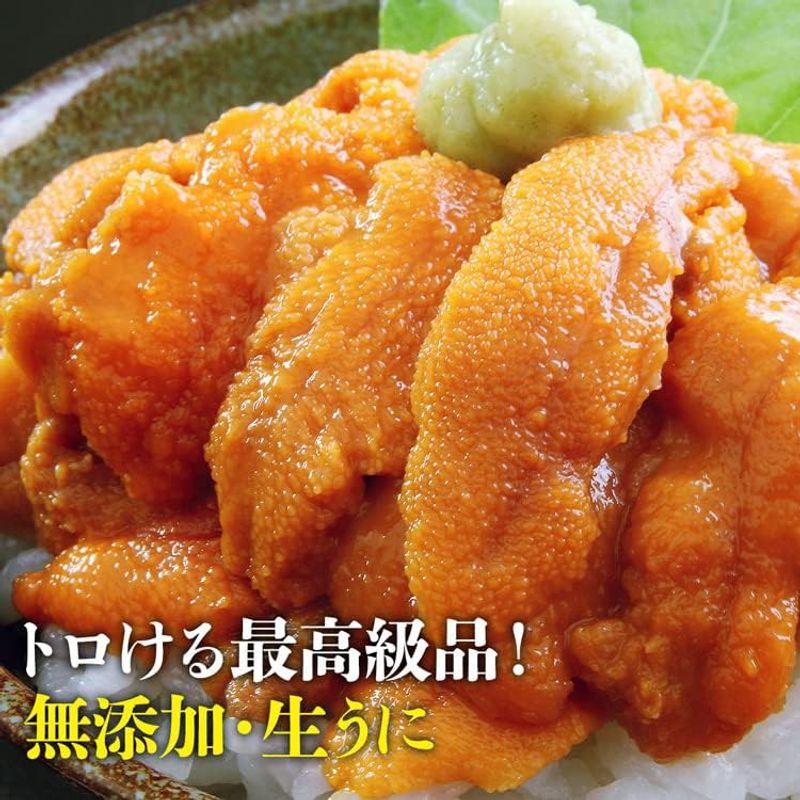 食の達人 無添加 生うに 200g いくら 250g 食べ比べセット 2~5人前 みょうばん不使用 サーモントラウトいくら 詰め合わせ