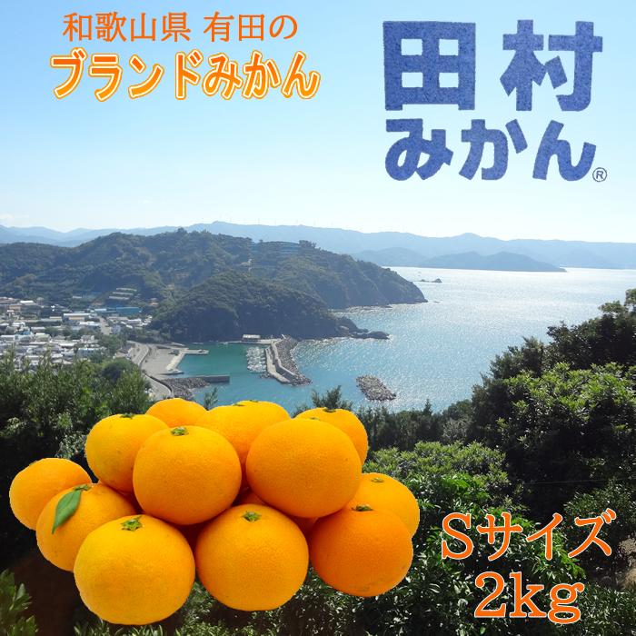 田村みかん ２kg  和歌山県有田産 早生みかん お歳暮 ギフト 湯浅町