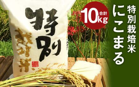 特別栽培米 にこまる 10kg (5kg×2)