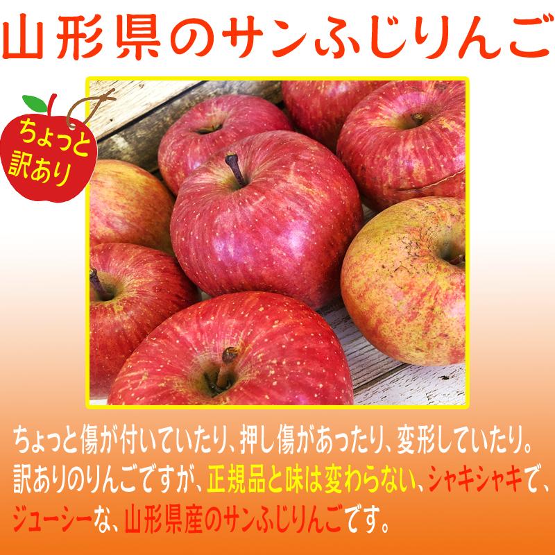 予約販売 訳あり りんご サンふじ 10kg 送料無料 山形県産 無選別 26~55玉 [ご家庭用りんご１０キロ]