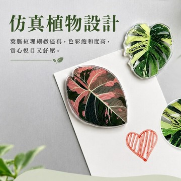 新品【各式觀葉植物造型】 觀葉植物 磁鐵 觀葉造型磁鐵 冰箱貼 蔓綠絨 花燭 觀音蓮 植物磁鐵 龜背芋 YES好生活