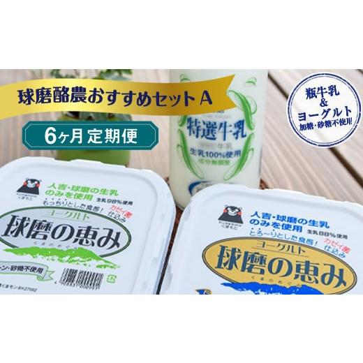 ふるさと納税 熊本県 湯前町 球磨酪農おすすめセットA（瓶牛乳ヨーグルト加糖・砂糖不使用）