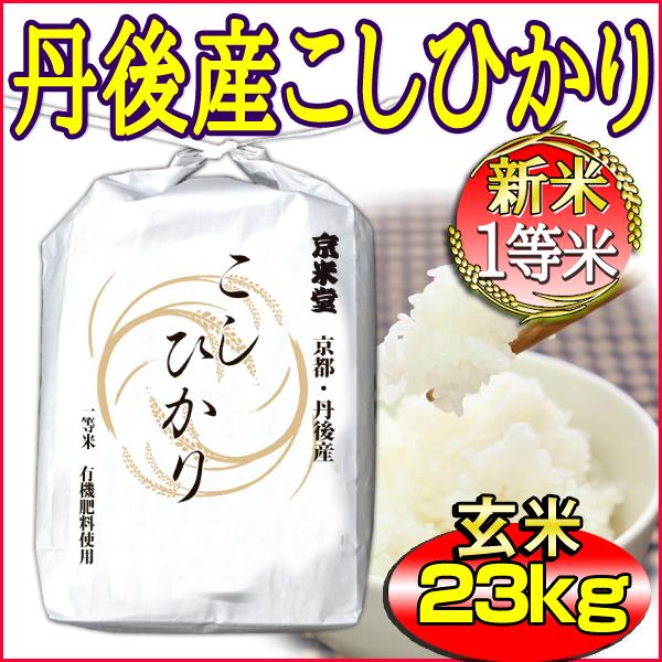 新米 お米 こしひかり 玄米 25kg 白米 22.5kg 京都米 丹後産 一等米 当日精米 令和5年産