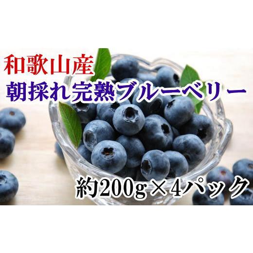 ふるさと納税 和歌山県 北山村 和歌山の朝採れ完熟ブルーベリー約800g(約200g×4パック)