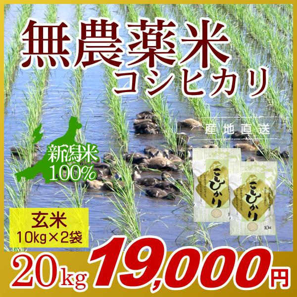 農薬無使用米 新潟 コシヒカリ 玄米 20kg(10kg×2袋)／新米 米 お米 新潟米 アイガモ米 自然栽培 無農薬 有機肥料 岩船産コシヒカリ 高級米