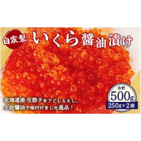 ふるさと納税 自家製 いくら ?油漬け 500g 北海道小樽市