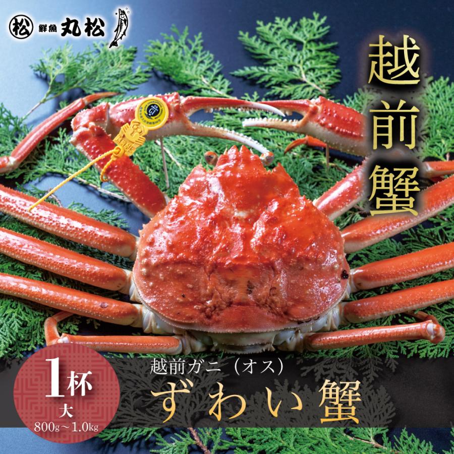 かに カニ 蟹 越前がに 越前蟹 ずわい蟹 ズワイガニ ずわいがに 姿 送料無料 取り寄せ お歳暮 ギフト プレゼント お祝い 大サイズ 800g〜1.0kg 1杯