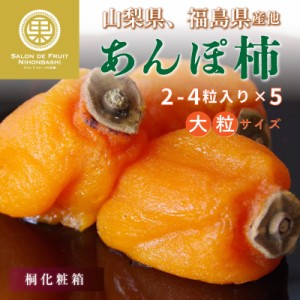 [予約 12月1日-12月20日の納品] あんぽ柿 桐箱 2-4個入×5 山梨県 福島県他 干柿 干し柿 柿 冬ギフト お歳暮 御歳暮