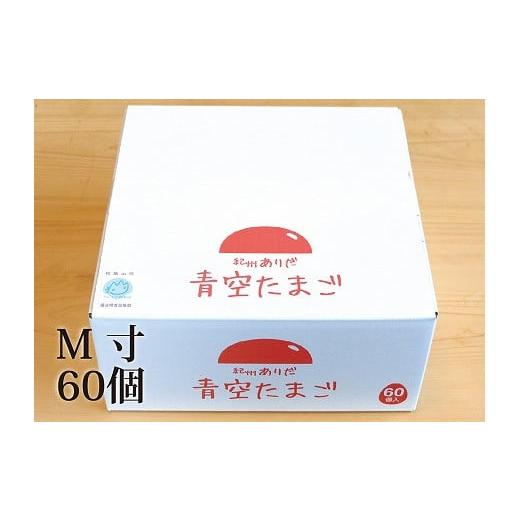 ふるさと納税 和歌山県 有田川町 青空たまごMサイズ60個入り(共)