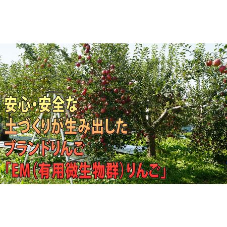 ふるさと納税 11〜12月発送 贈答規格 蜜入りEMサンふじ約3kg 糖度13度以上　 青森県弘前市