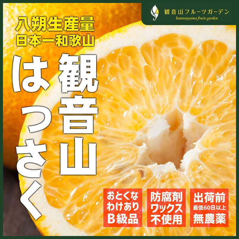 はっさく 紀州のおぼろ月 10kg 訳ありB級品 和歌山 観音山フルーツガーデン 送料無料