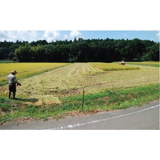 ふるさと納税 茨城県 笠間市 FL-6 かなめさんちのお米「月の舞」精米 5kg