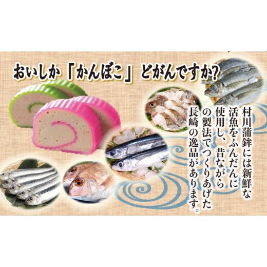 ふるさと納税 長崎県 諫早市 長崎魚屋のかまぼこ詰め合わせ