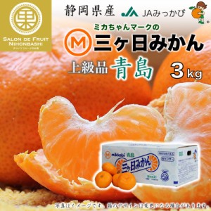 [予約 2023年 12月31日必着] 三ケ日みかん 青島 約 3kg 静岡県産 JAみっかび 産地箱 おいしい 冬ギフト お歳暮 御歳暮 大晦日必着指定