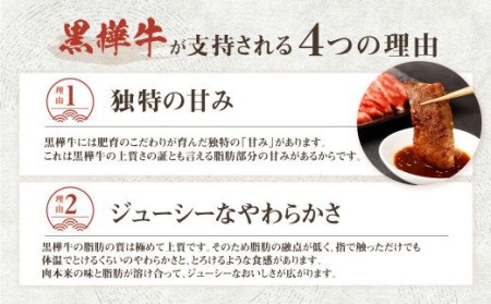 くまもと黒毛和牛 杉本本店 黒樺牛 A4~A5等級 焼肉用カルビ 300g