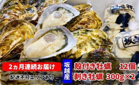 定期便 牡蠣 坂越かき 剥き牡蠣 300g×2、殻付き牡蠣 12個 オイスターナイフ付き[ 生牡蠣 かき カキ 生食 冬牡蠣