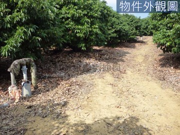 大樹溪埔國小方正農地｜高雄市大樹區學城段