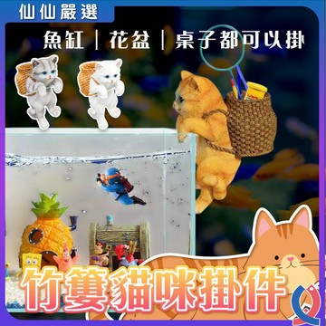 掛缸貓咪 魚缸收納 魚缸造景 園藝裝飾 植栽掛罐 辦公室小物 貓咪公仔 景觀裝飾 水族配件 工具桶 療癒擺件 多肉盆栽