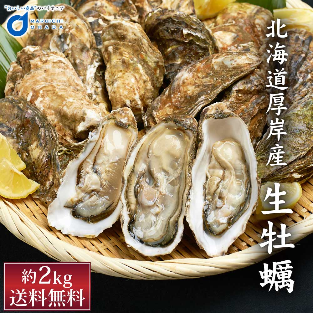 北海道厚岸産 生牡蠣 約2kg 北海道産 カキ かき 刺身 貝 札幌中央卸売