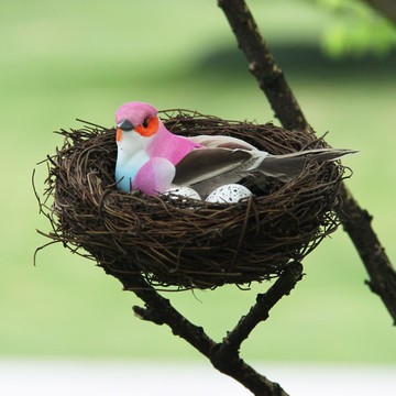 仿真鳥窩鳥巢套裝 小鳥雞蛋鳥蛋組合森系園藝花草樹木裝飾工藝品