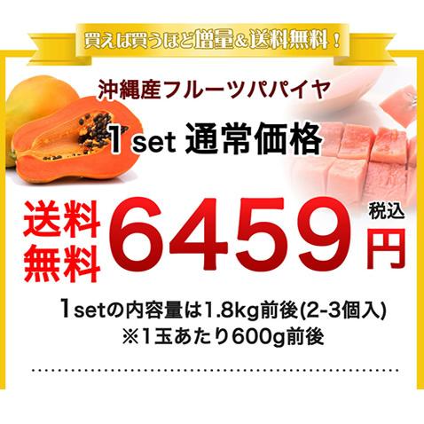 送料無料 フルーツパパイヤ 沖縄 スーパーフード1.8kg前後(2-3個入) 国産 沖縄産(ギフト 贈り物 パパイヤ フルーツ トロピカル)