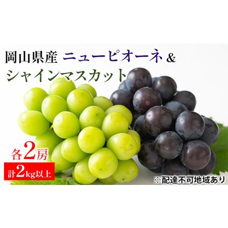 ふるさと納税 ぶどう 2024年 先行予約 ニュー ピオーネ 2房 シャインマスカット 2房 合計2kg以上 マスカット ブドウ 葡萄  岡山県産 国産 フルー.. 岡山県高梁市