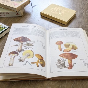 本書採下單後開始尋書/蘑菇與真菌百科