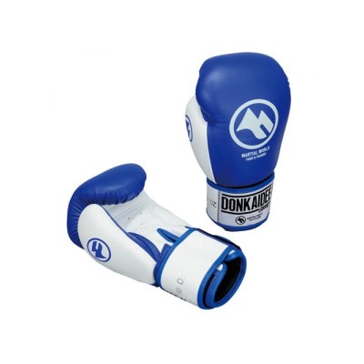 Fairtex Resurrection Premium Muay Thai Boxing Glove - Limited