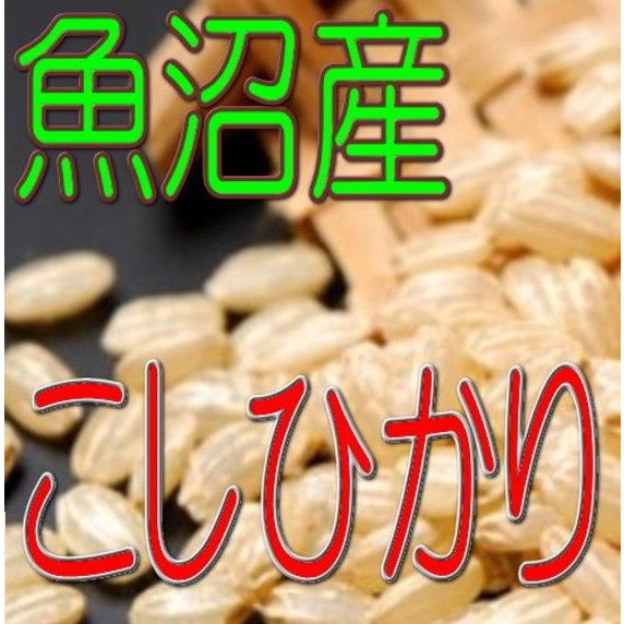 新米 玄米 魚沼産こしひかり 2kg 令和5年産 新潟県産