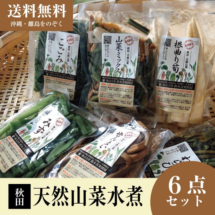 贈答品 ギフト 秋田 天然山菜 水煮 バラエティ６点詰合せ 送料無料 簡単調理