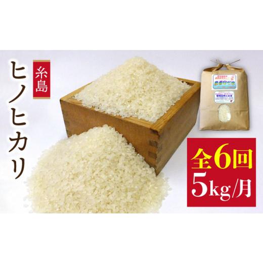 ふるさと納税 福岡県 糸島市  ヒノヒカリ 5kg 福吉産 お米 栽培期間農薬不使用 《糸島》[ABB012-3] 米 …