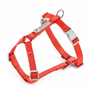 tails&me 尾巴與我 新經典 犬H型胸背帶  XS  橙紅色  1個