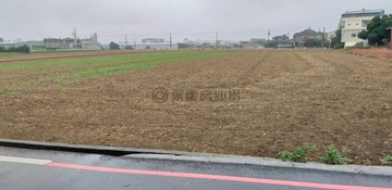 青埔正30米路中興路~一般農地｜桃園市大園區大埔