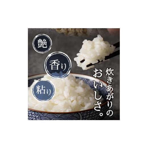 ふるさと納税 静岡県 焼津市 b15-025　 令和5年産新米 米 コシヒカリ30kg