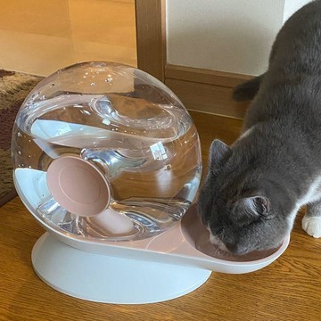 新品🌹貓咪飲水機🐱貓咪氣泡飲水機 防打翻寵物飲水機 大容量免插電免濾芯  貓咪飲水機不插電無線狗狗喝水自動喂水大容量