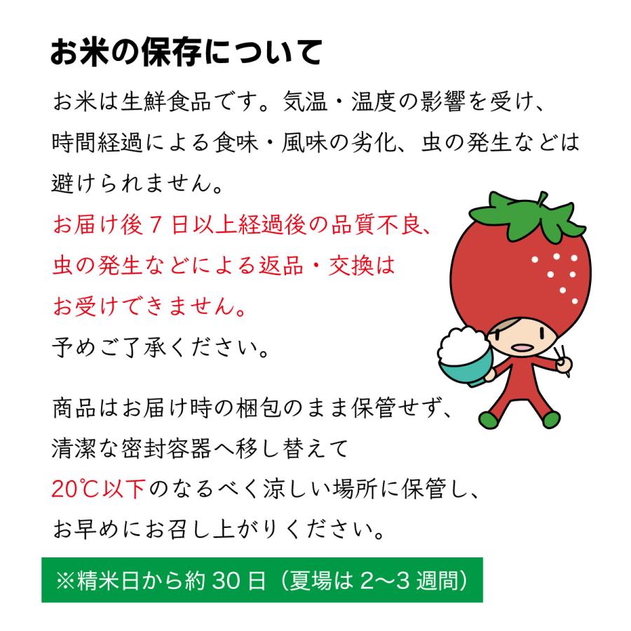 新米 定期便 定期購入 はえぬき お米 5kg 山形県 令和5年産 精白米 送料無料（一部地域を 除く）