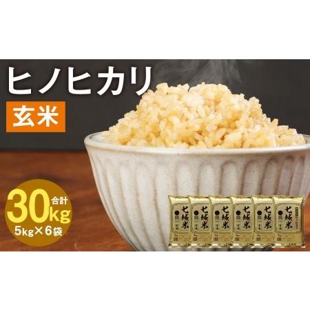 ふるさと納税 熊本県菊池産 ヒノヒカリ 5kg×6袋 計30kg 玄米 米 お米 令和4年産 熊本県菊池市