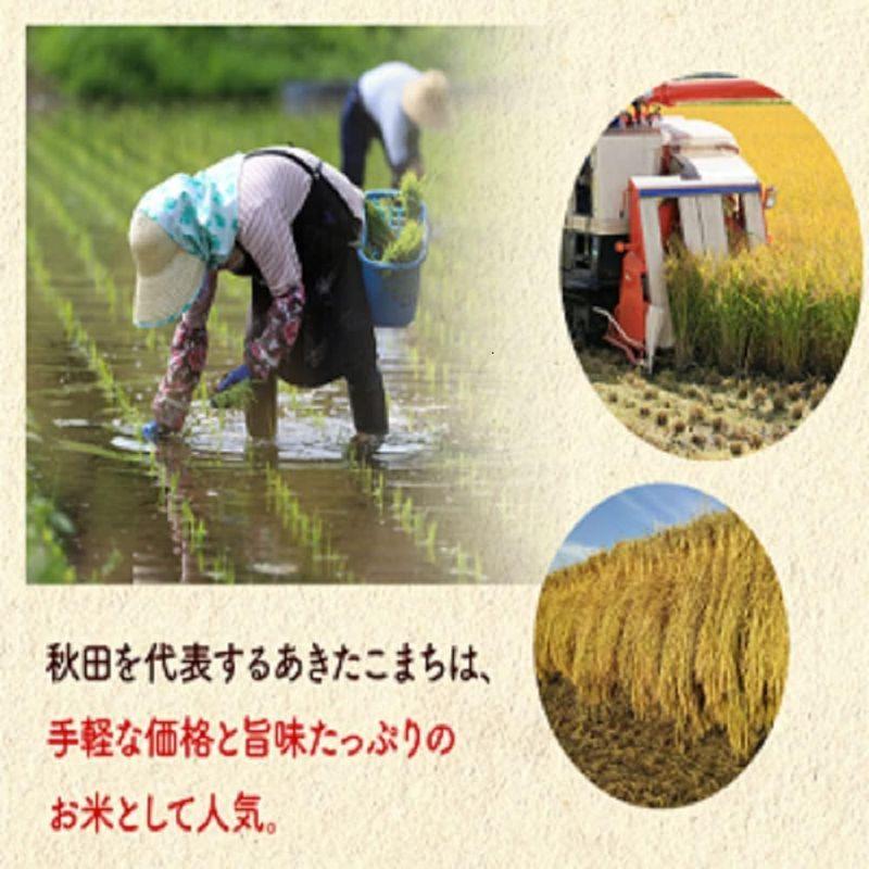 お助け10ｋｇ令和4年産 秋田県産 家計お助け米 あきたこまち 厳選米 単一原料米100％ 米びつ当番天鷹唐辛子プレゼント付き