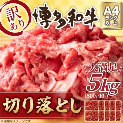 ふるさと納税 大刀洗町 訳アリ!博多和牛切り落とし　5kg(500g×10パック)(大刀洗町)